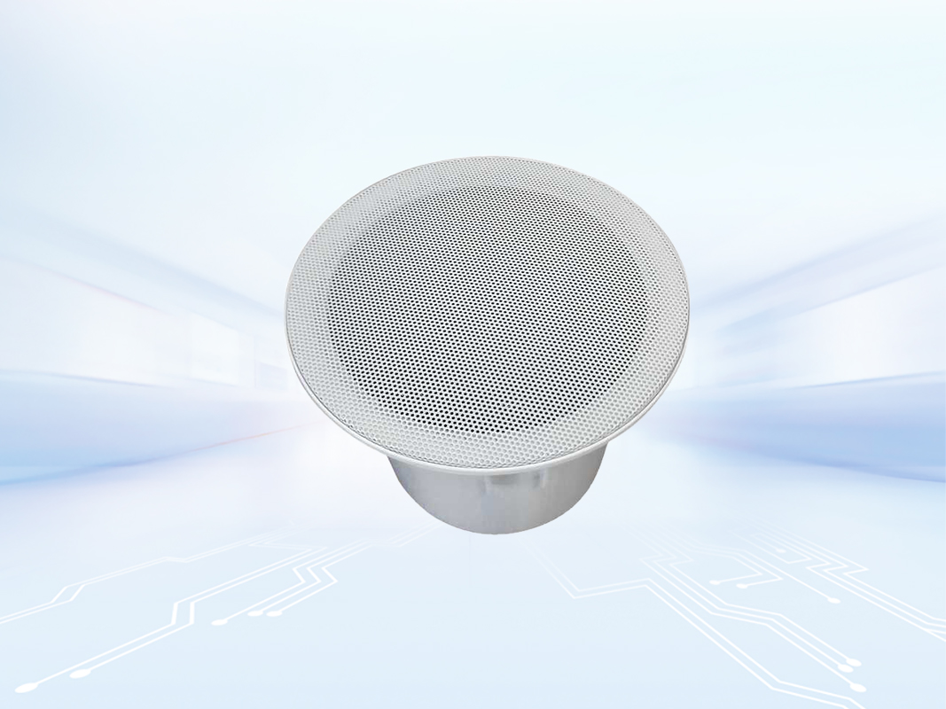 SIP Ceiling Speaker
