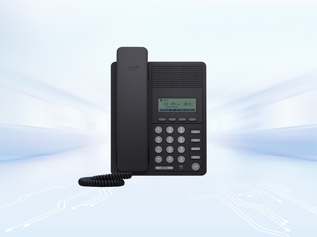 Y10 Entry Level IP Phone