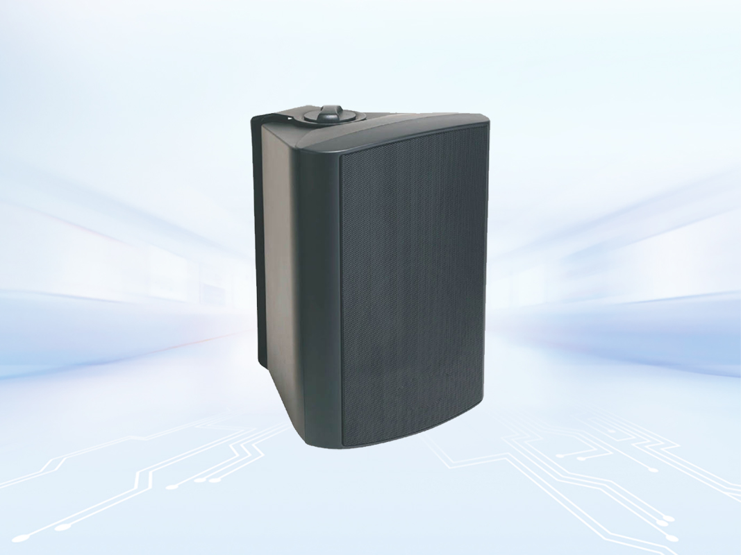 Indoor SIP Speaker